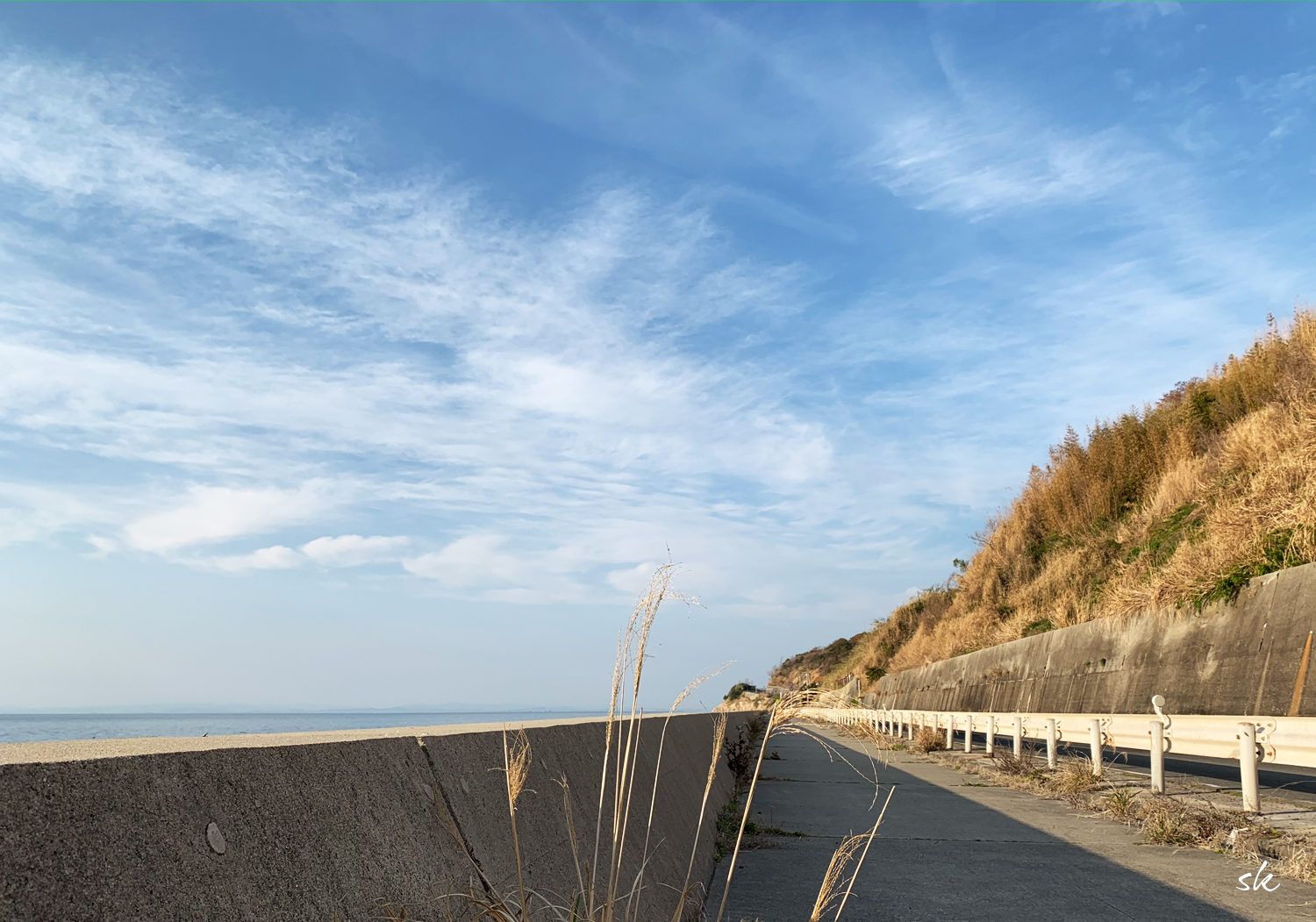 淡路島は玉ねぎの収穫の季節です
