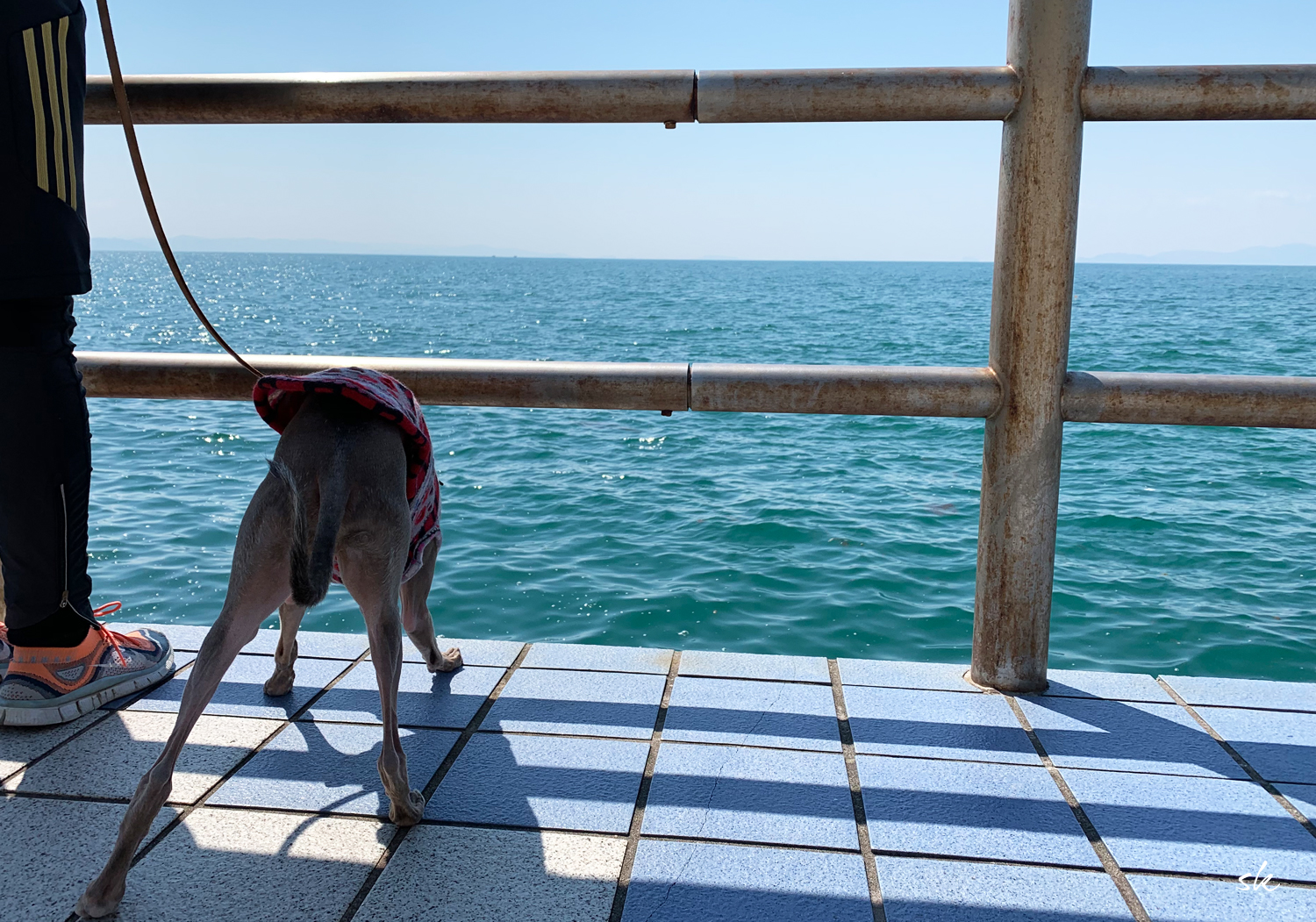 お願いだから覗かないで！