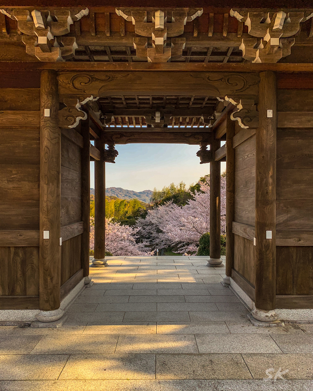 軽トラに乗る農家のお婆ちゃんに教えてもらった淡路島の桜の名所