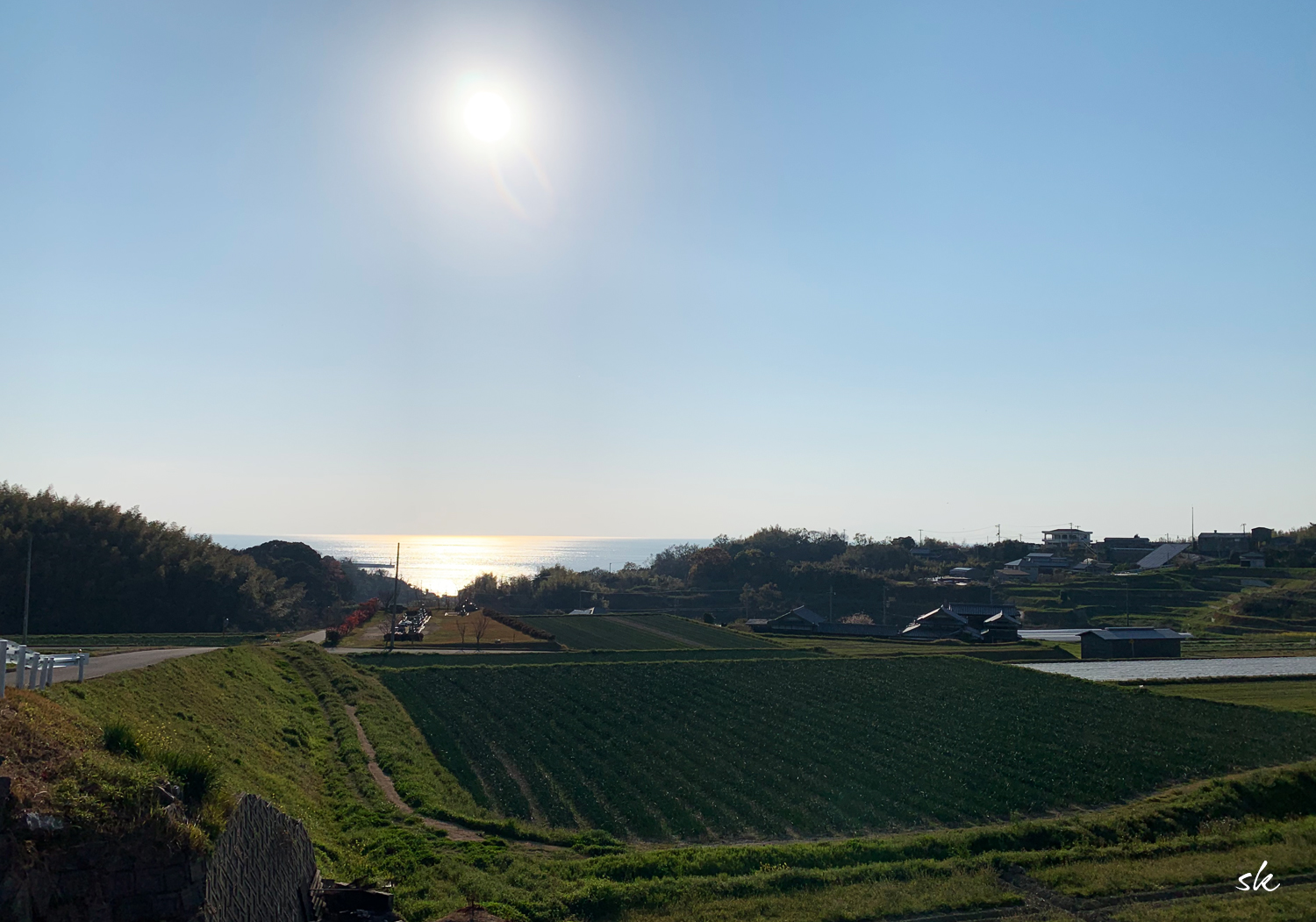 淡路島にも桜が咲き始めました。海から丘へ、ランニングしてきました。