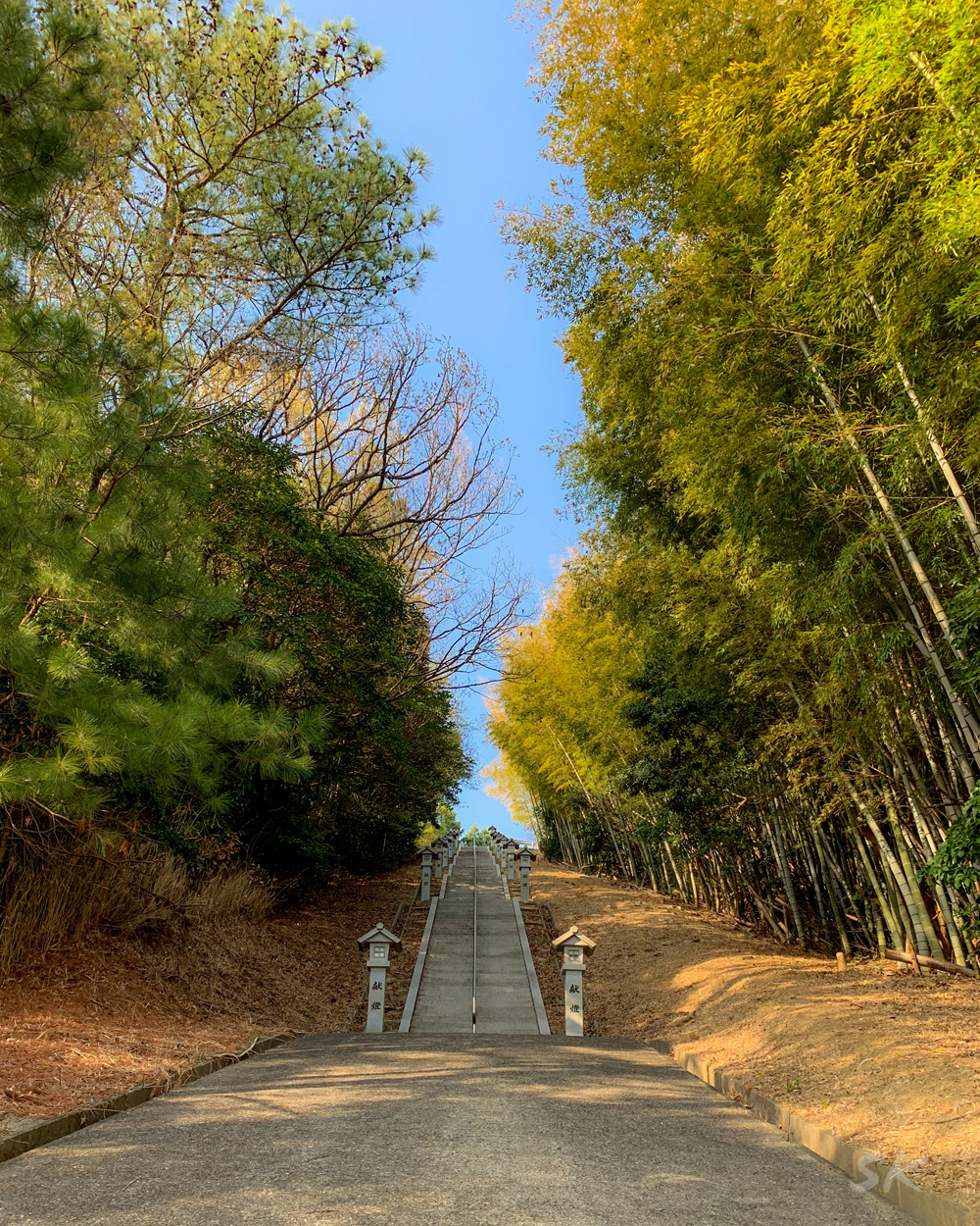 軽トラに乗る農家のお婆ちゃんに教えてもらった淡路島の桜の名所