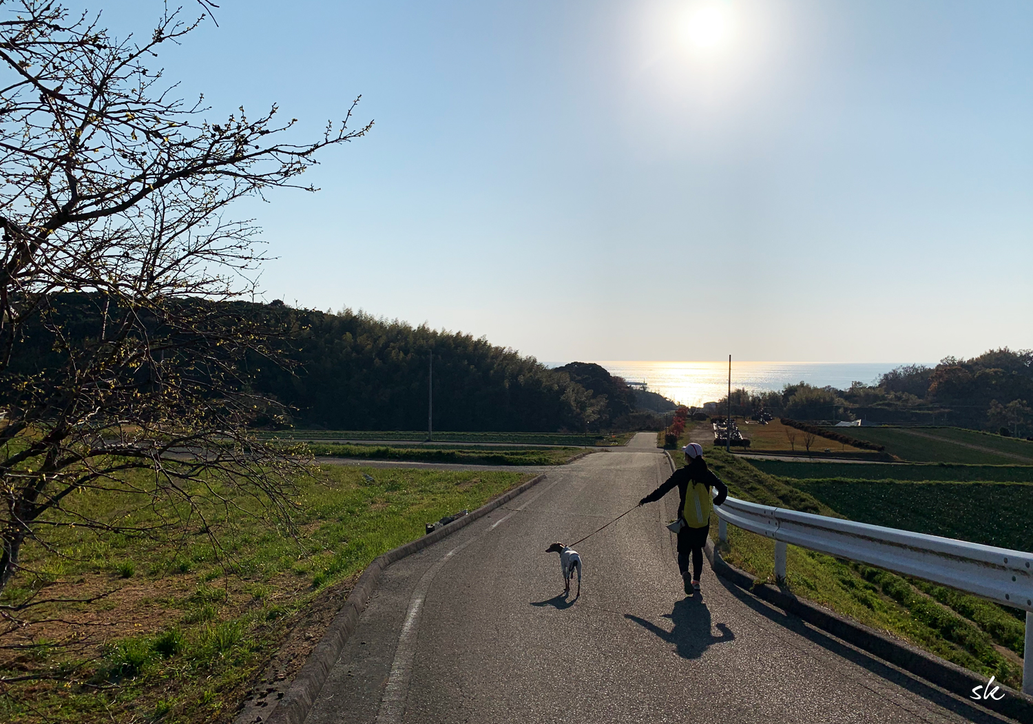 淡路島にも桜が咲き始めました。海から丘へ、ランニングしてきました。