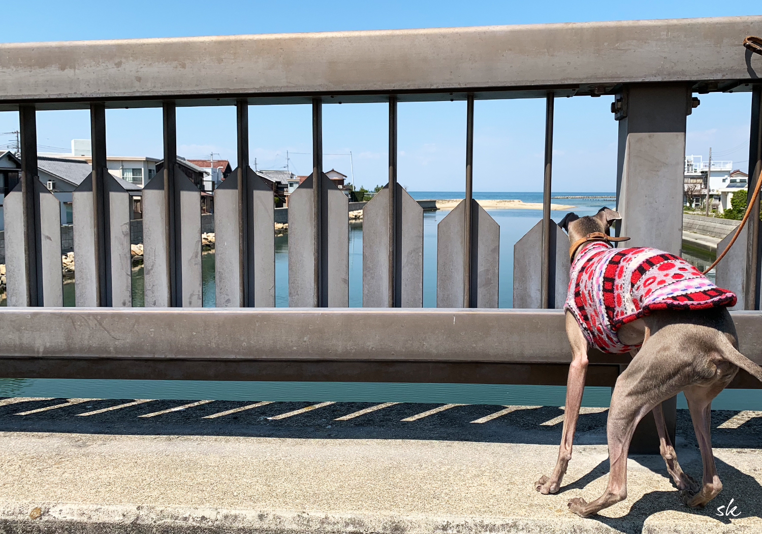 お願いだから覗かないで！