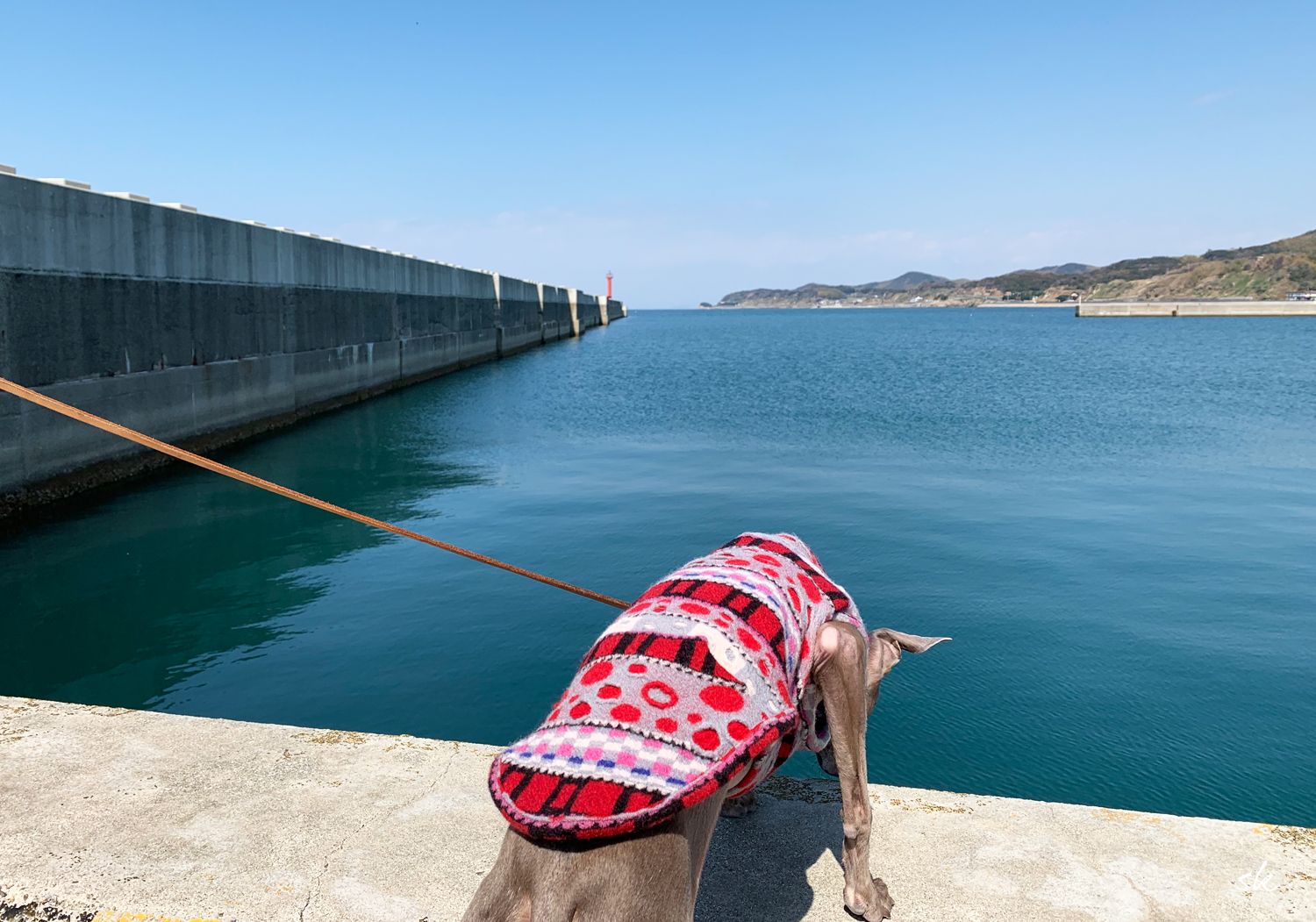 お願いだから覗かないで！