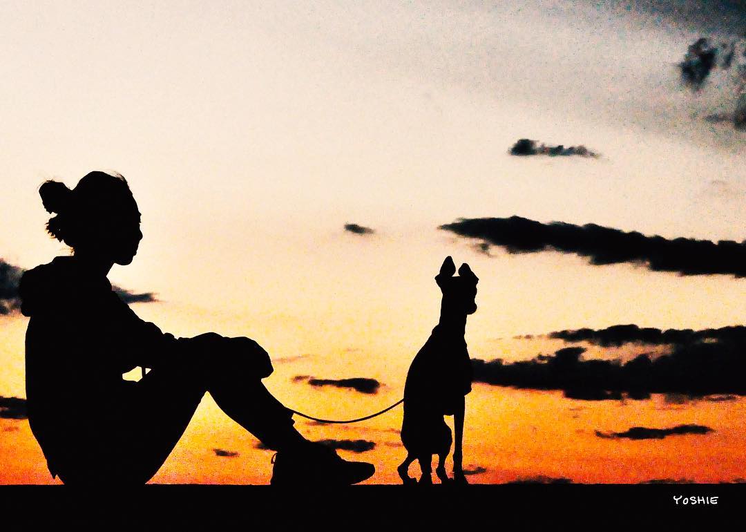 私の小さなボーイフレンド