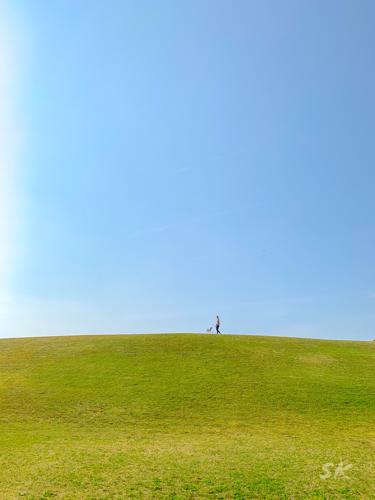 淡路島で一番広い芝に散歩へ、夕方は人も少なく犬と一緒にのんびり。