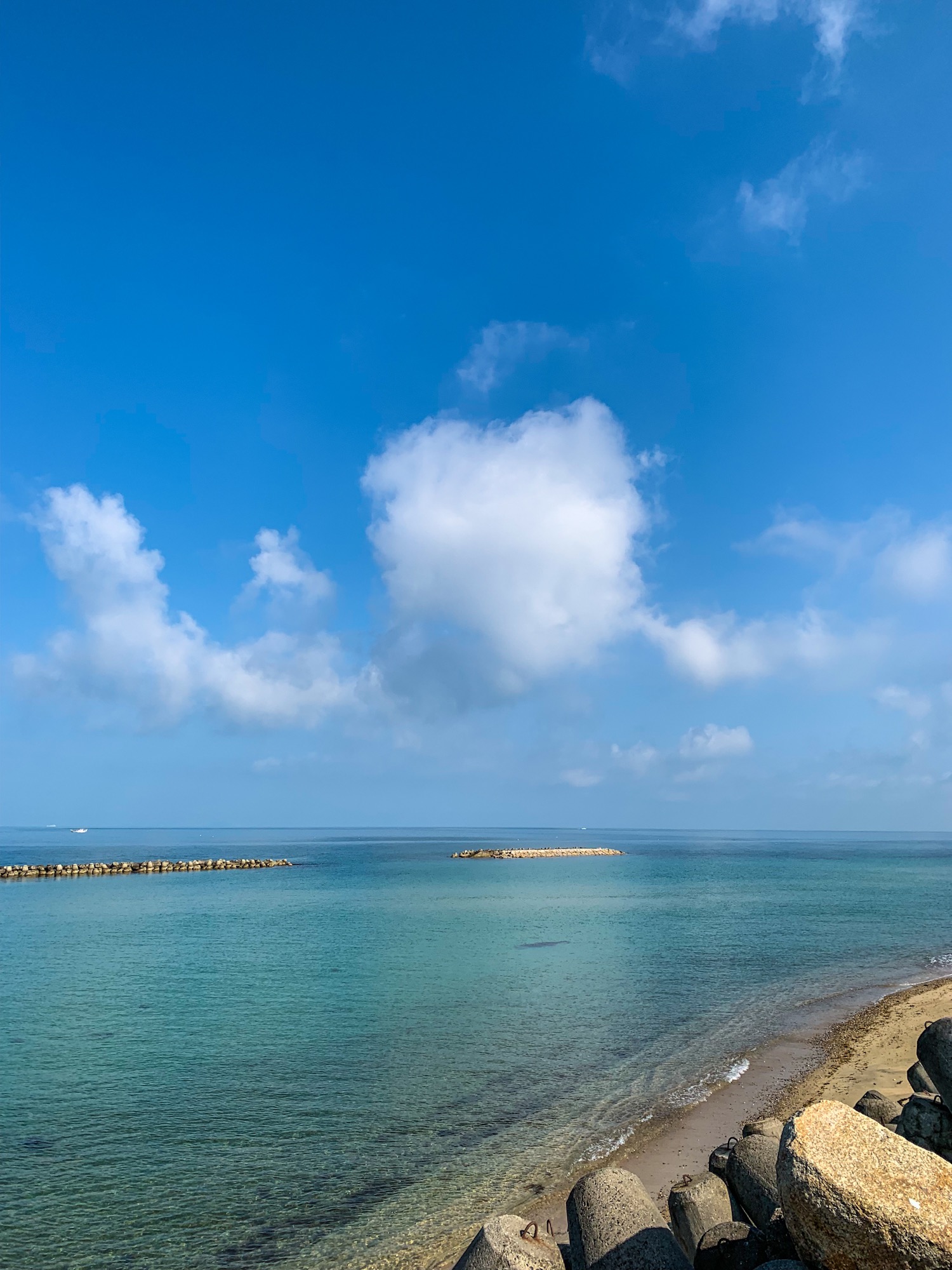 淡路島の山道を散歩すると、小鳥の鳴き声が聞こえてくる。