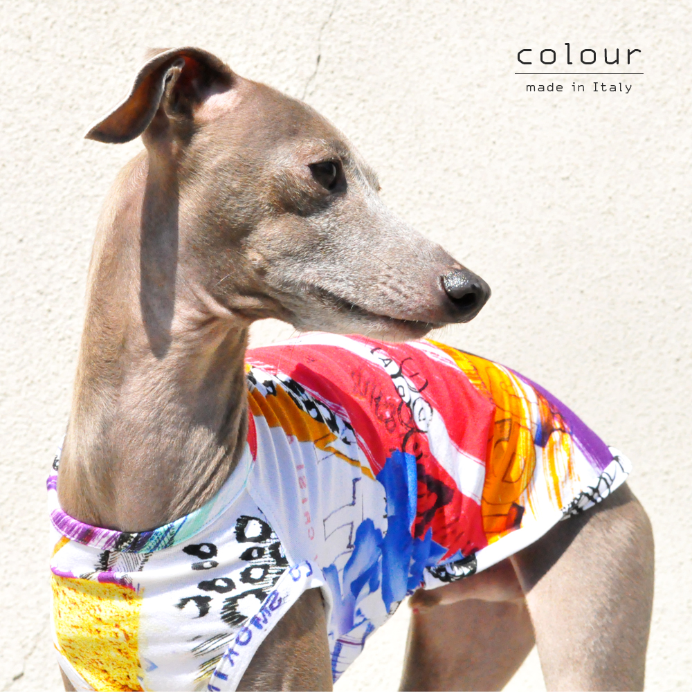犬服|colour|上質なイタリア製舶来プリントニット|選べる4タイプ×2カラー(Red/Blue)