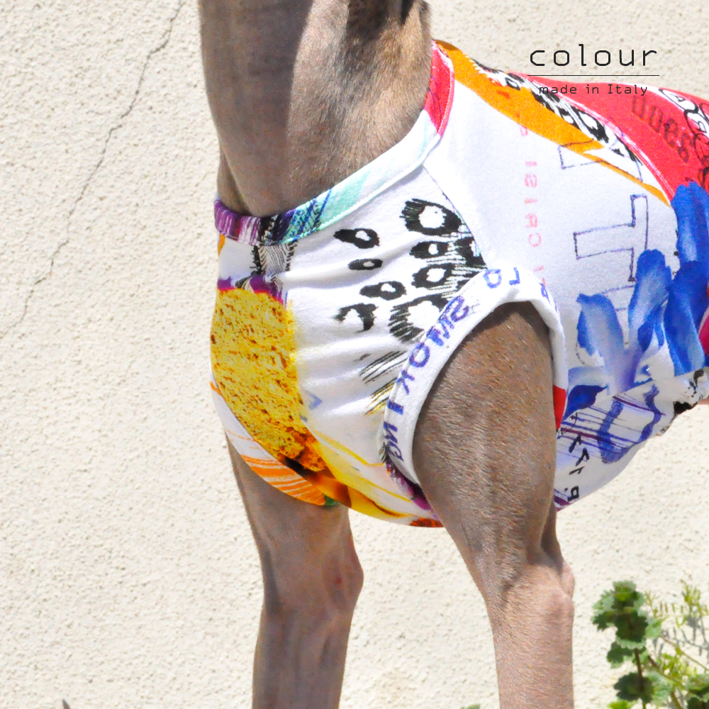 犬服|colour|上質なイタリア製舶来プリントニット|選べる4タイプ×2カラー(Red/Blue)