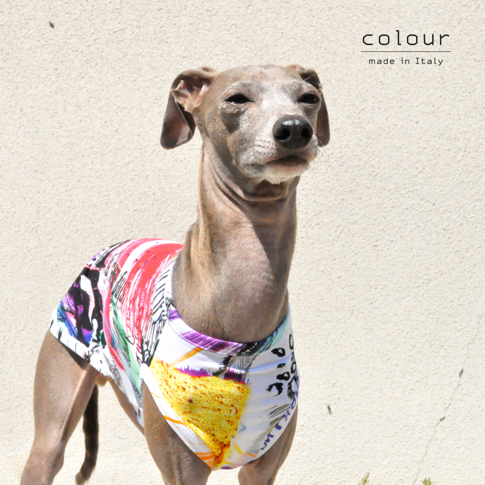 犬服|colour|上質なイタリア製舶来プリントニット|選べる4タイプ×2カラー(Red/Blue)