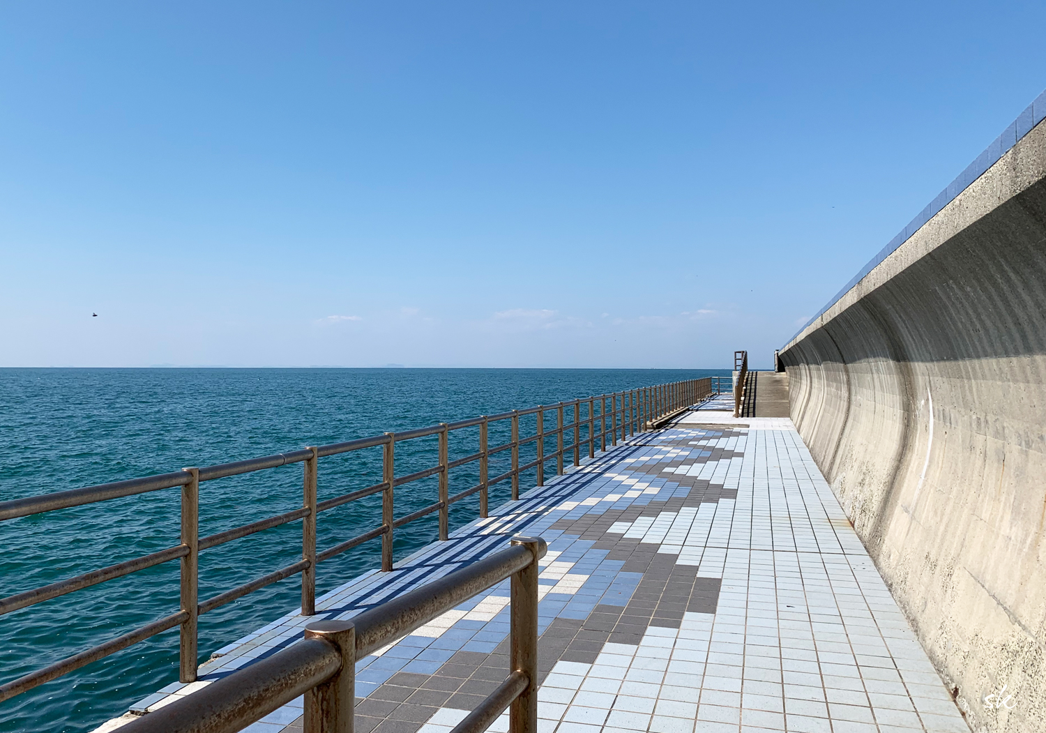 お願いだから覗かないで！