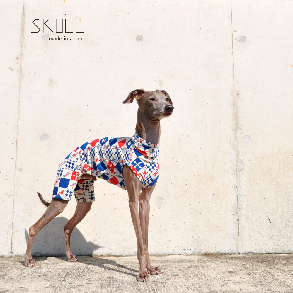 犬服|スカル(どくろ)|日本製ニットプリント|選べる4タイプ×2カラー(ブルー/ブラック)