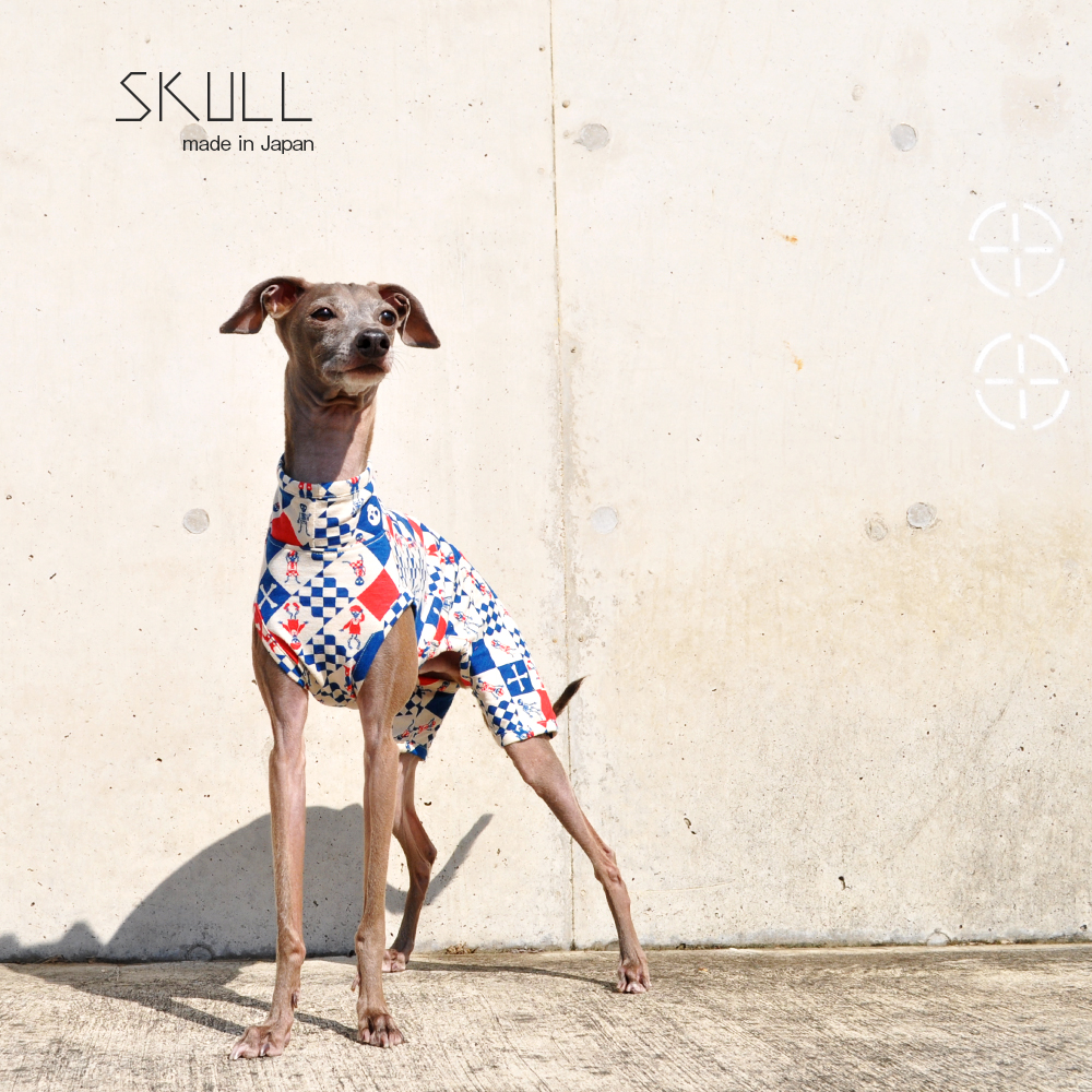 犬服|スカル(どくろ)|日本製ニットプリント|選べる4タイプ×2カラー(ブルー/ブラック)