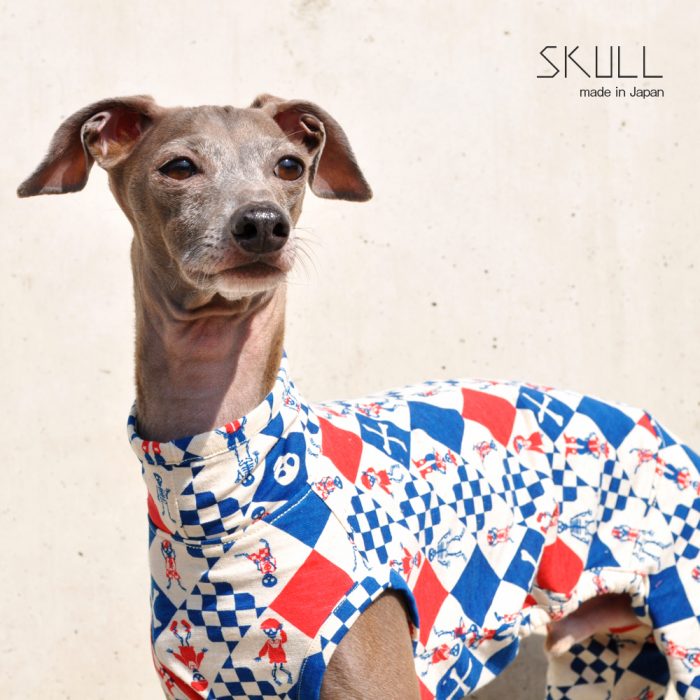 犬服｜スカル（どくろ）｜日本製ニットプリント｜選べる４タイプ×２カラー（ブルー/ブラック）