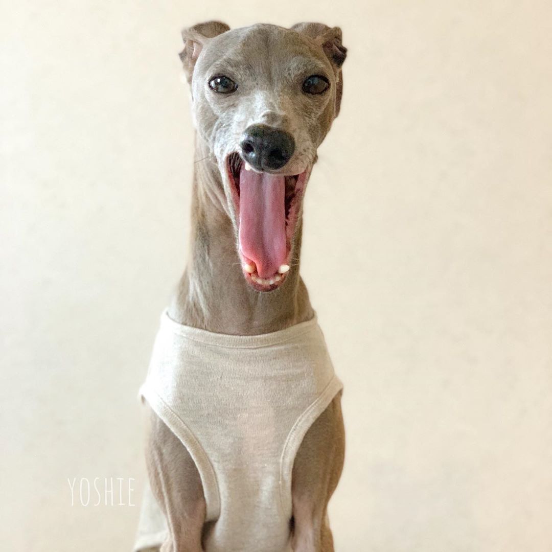 感情そのまま。