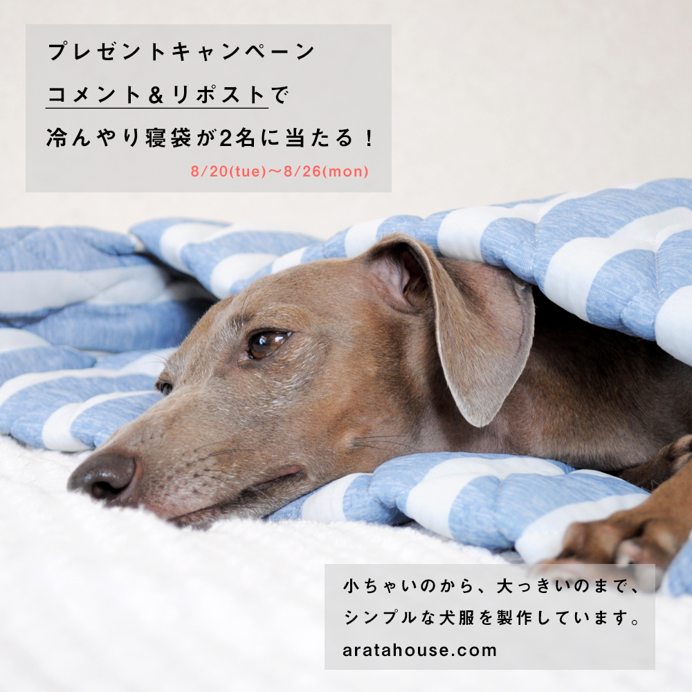 ひんやり涼しい寝袋&カフェマットプレゼント!ご応募お待ちしています。