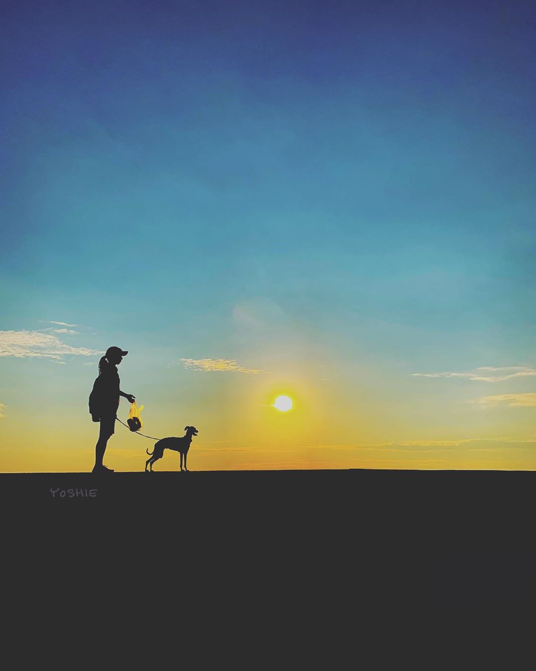 散歩帰りに、スーパーでモヤシ買った。