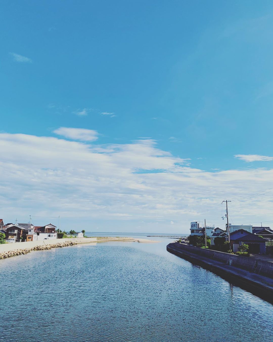 淡路島でイタグレと暮らす夫婦の朝