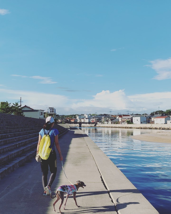 淡路島でイタグレと暮らす夫婦の朝