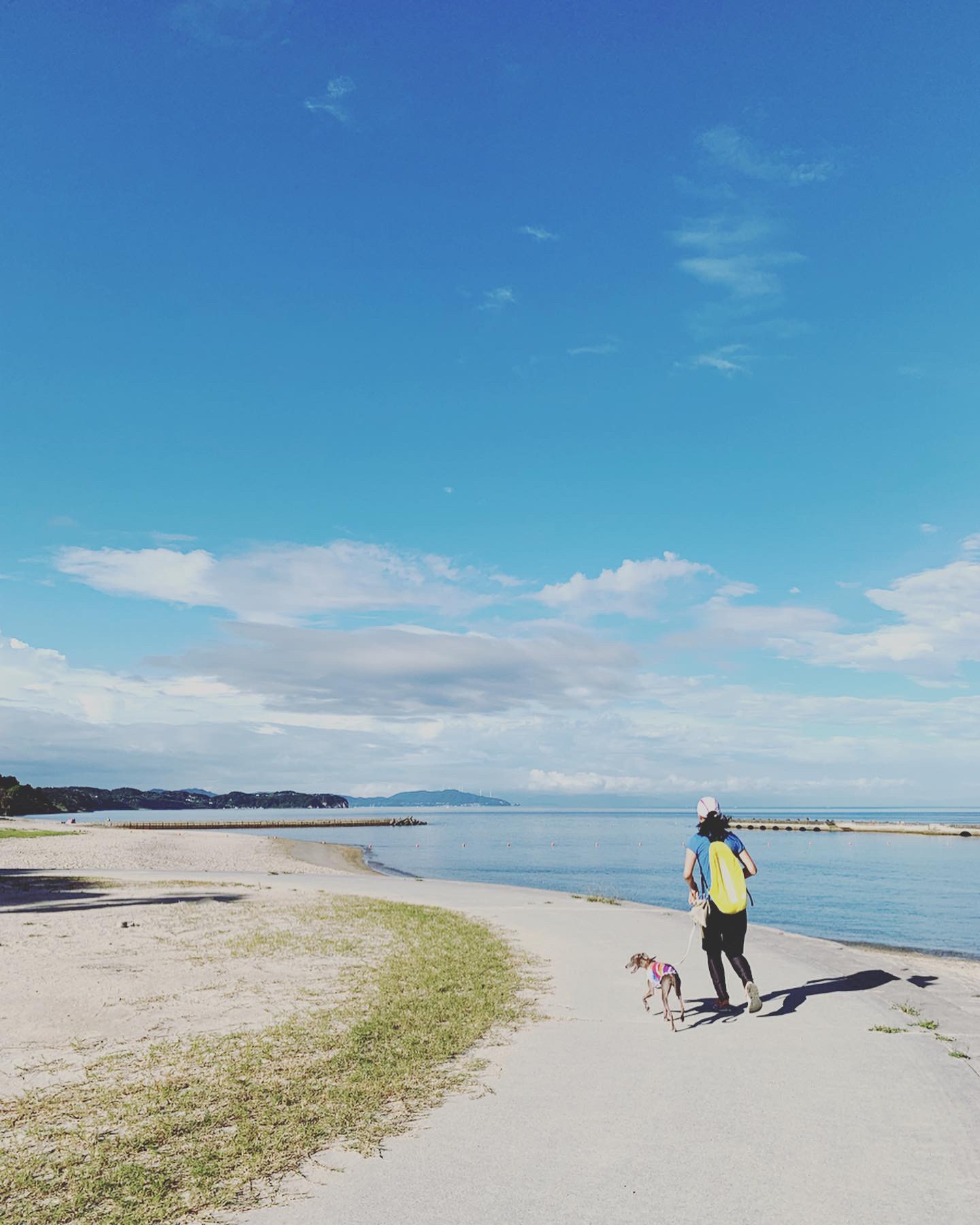 淡路島でイタグレと暮らす夫婦の朝