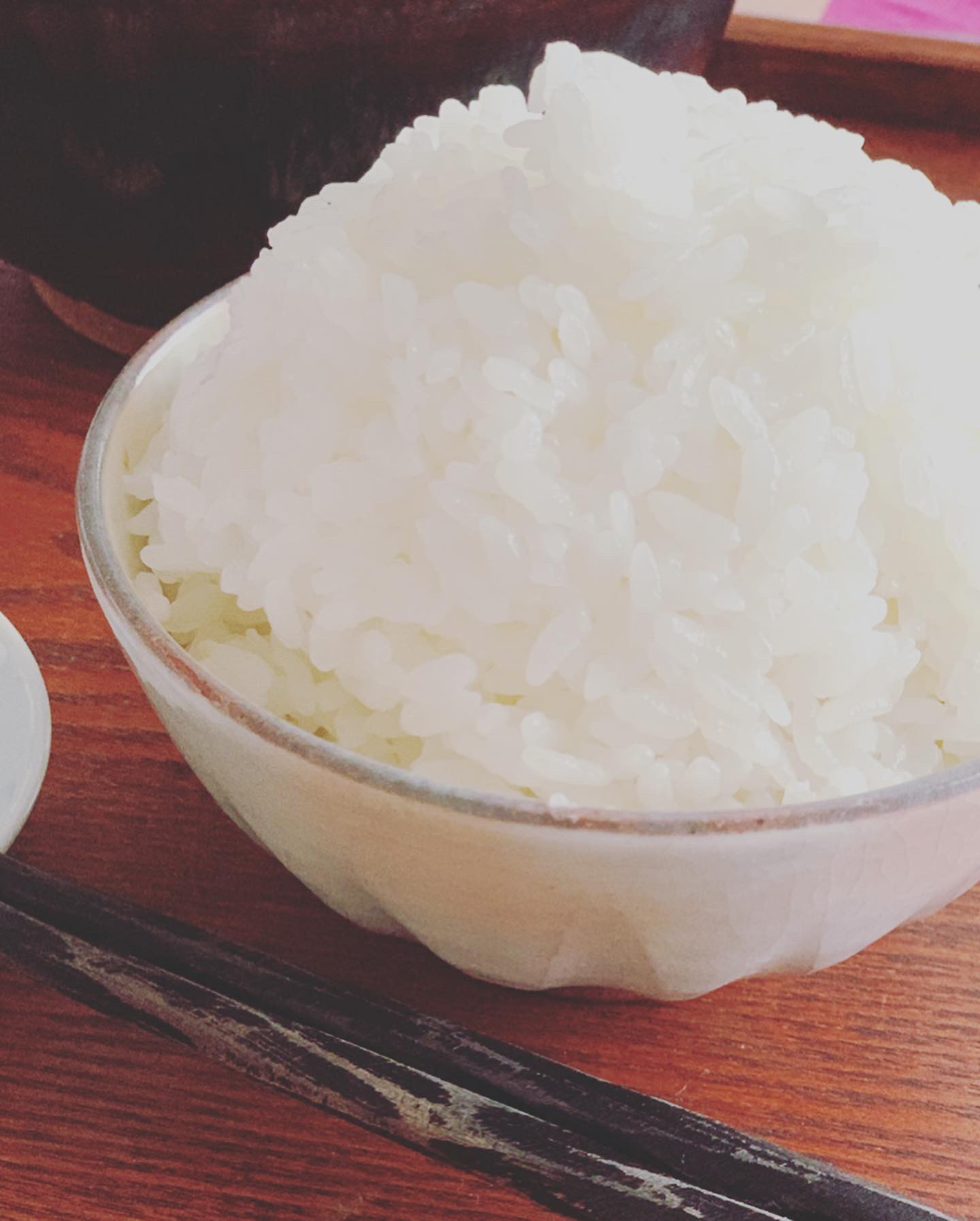 淡路島でイタグレと暮らす夫婦の朝