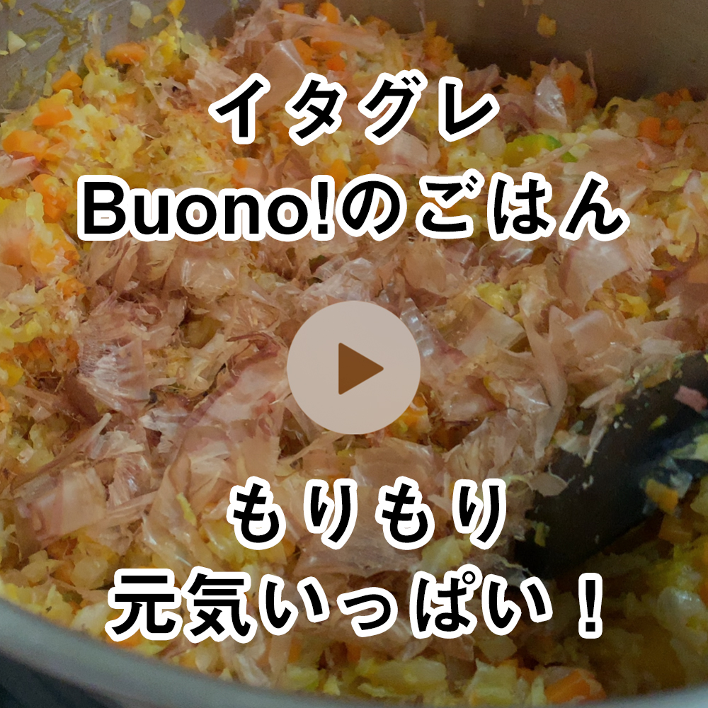 イタグレのごはんの作り方を公開しました