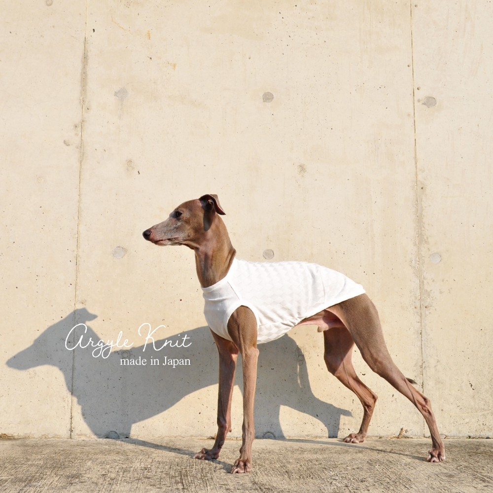 犬服|上品な日本製アーガイルニット|選べる4タイプ×4カラー(ホワイト/ネイビー/グリーン/オレンジ)