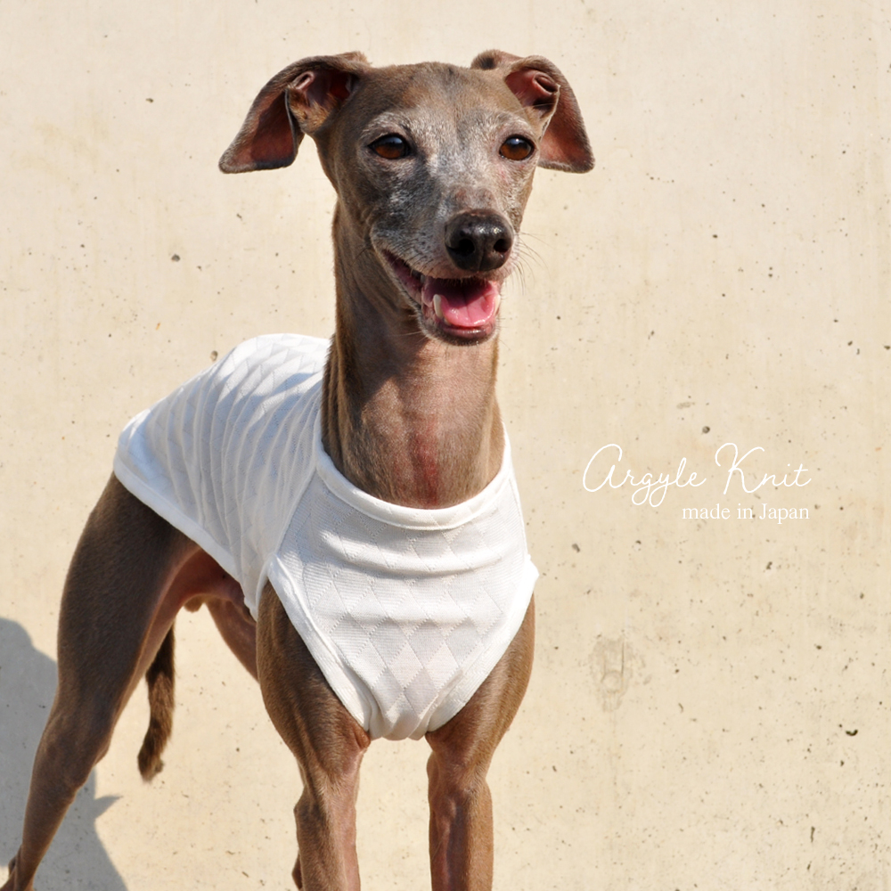 犬服|上品な日本製アーガイルニット|選べる4タイプ×4カラー(ホワイト/ネイビー/グリーン/オレンジ)