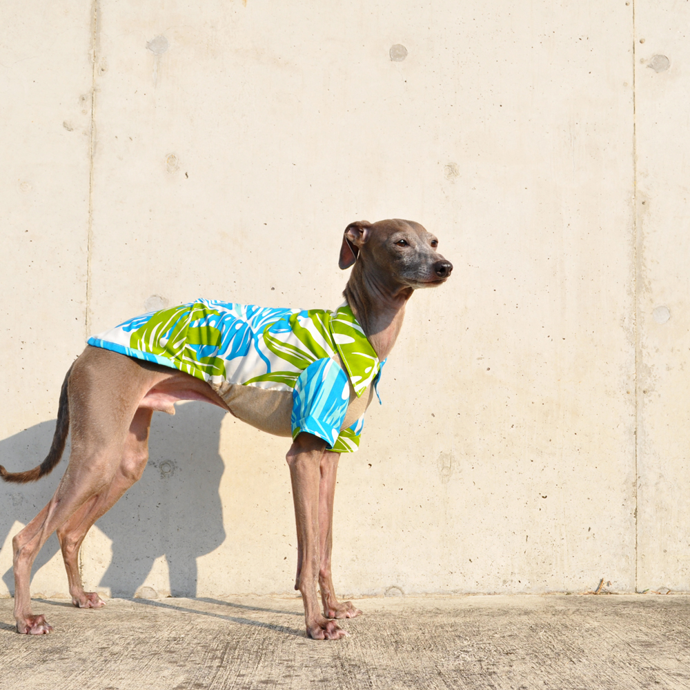 犬服|アロハシャツ(モンステラ)|アメリカハワイ輸入プリント|選べる3タイプ×2カラー(ブルー/オレンジ)「襟カスタマイズ可能」