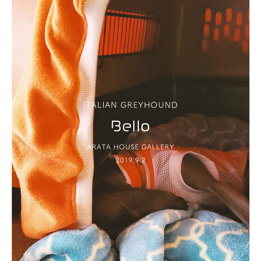 イタグレがクレート（バリケンネル）の中で寝る姿に笑みが溢れました。クレートカバー｜バリケンネルカバーの使い心地