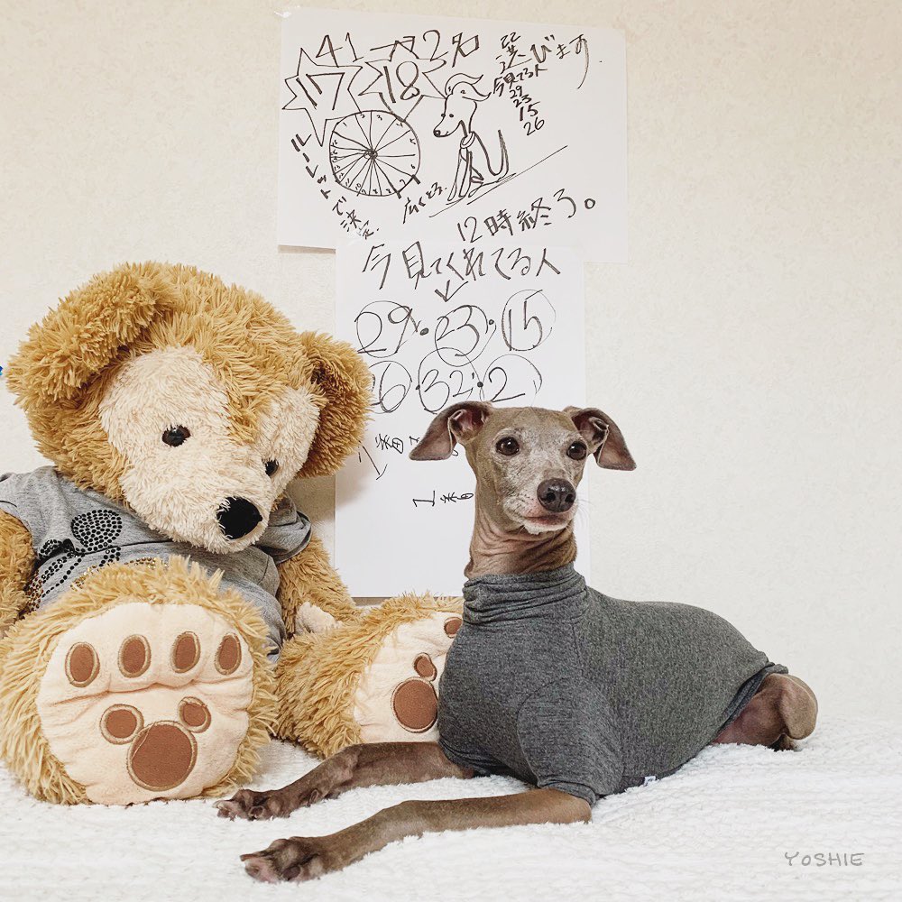 【抽選結果】ひんやり涼しい寝袋＆カフェマットプレゼント！