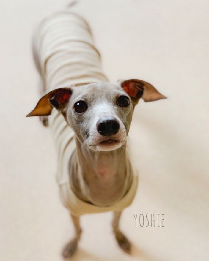 ちょうだい！！