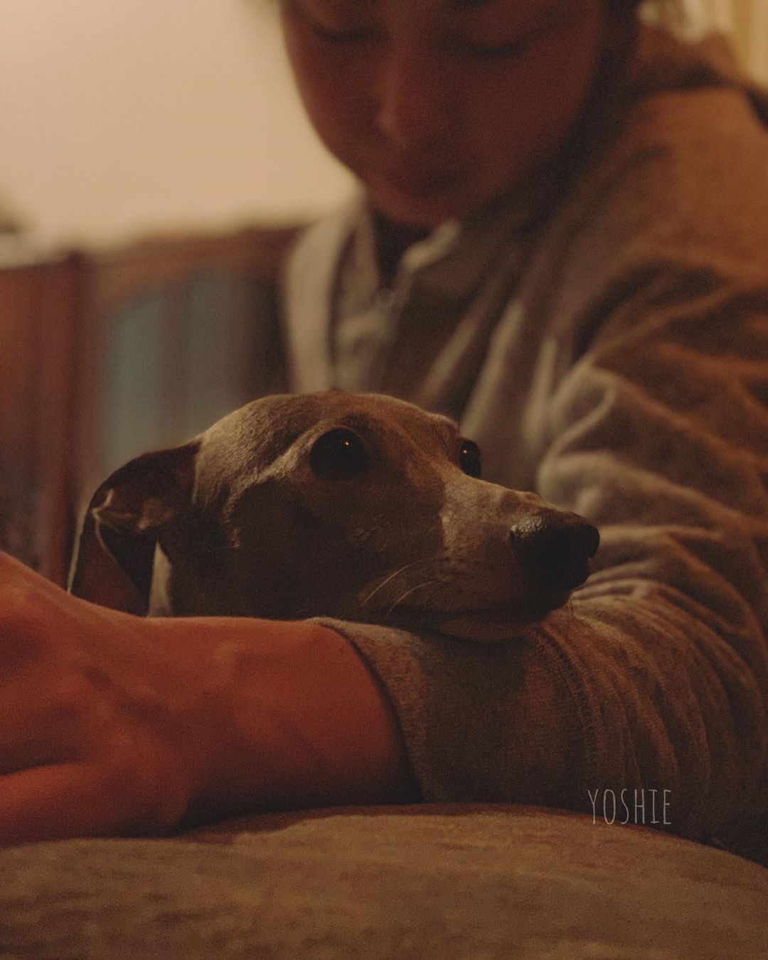 お休み前の時間