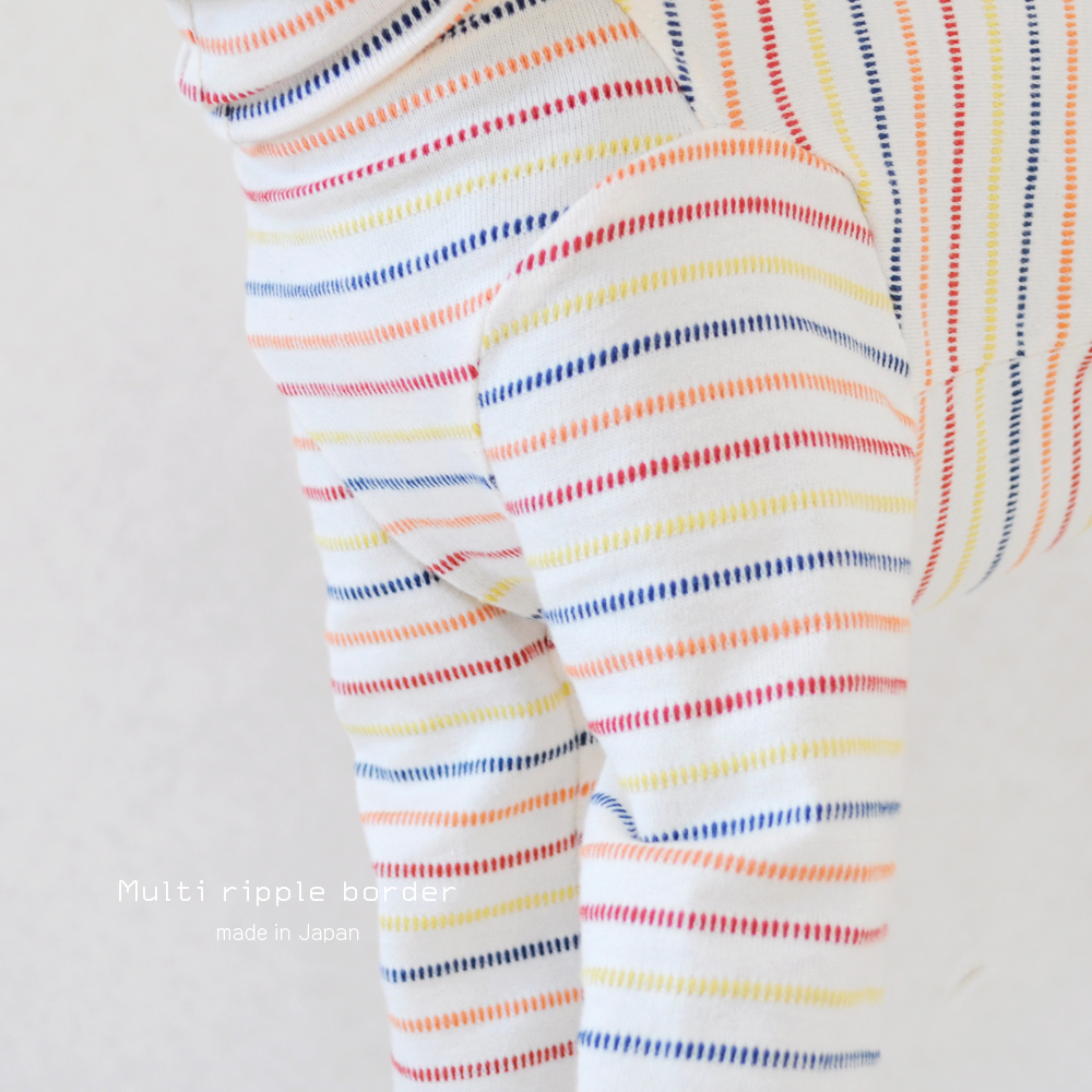 秋って何を着ればいいの？４色のボーダーラインが可愛い犬服