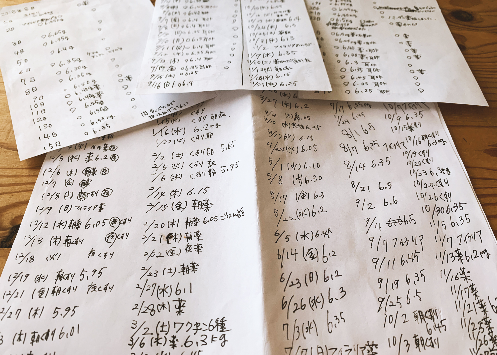 イタグレ体重記録：毎週水曜日に体重を測り続けるたった1つの大切な理由