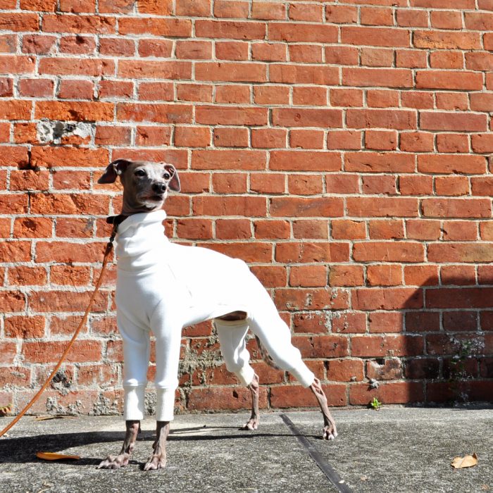 イタグレ服冬服｜軽くて柔らかくて暖かい｜裏起毛ムートンジャージー（保温性）｜選べる４タイプ×４カラー（ホワイト/杢グレイ/デニムネイビー/ツイードグレイ）