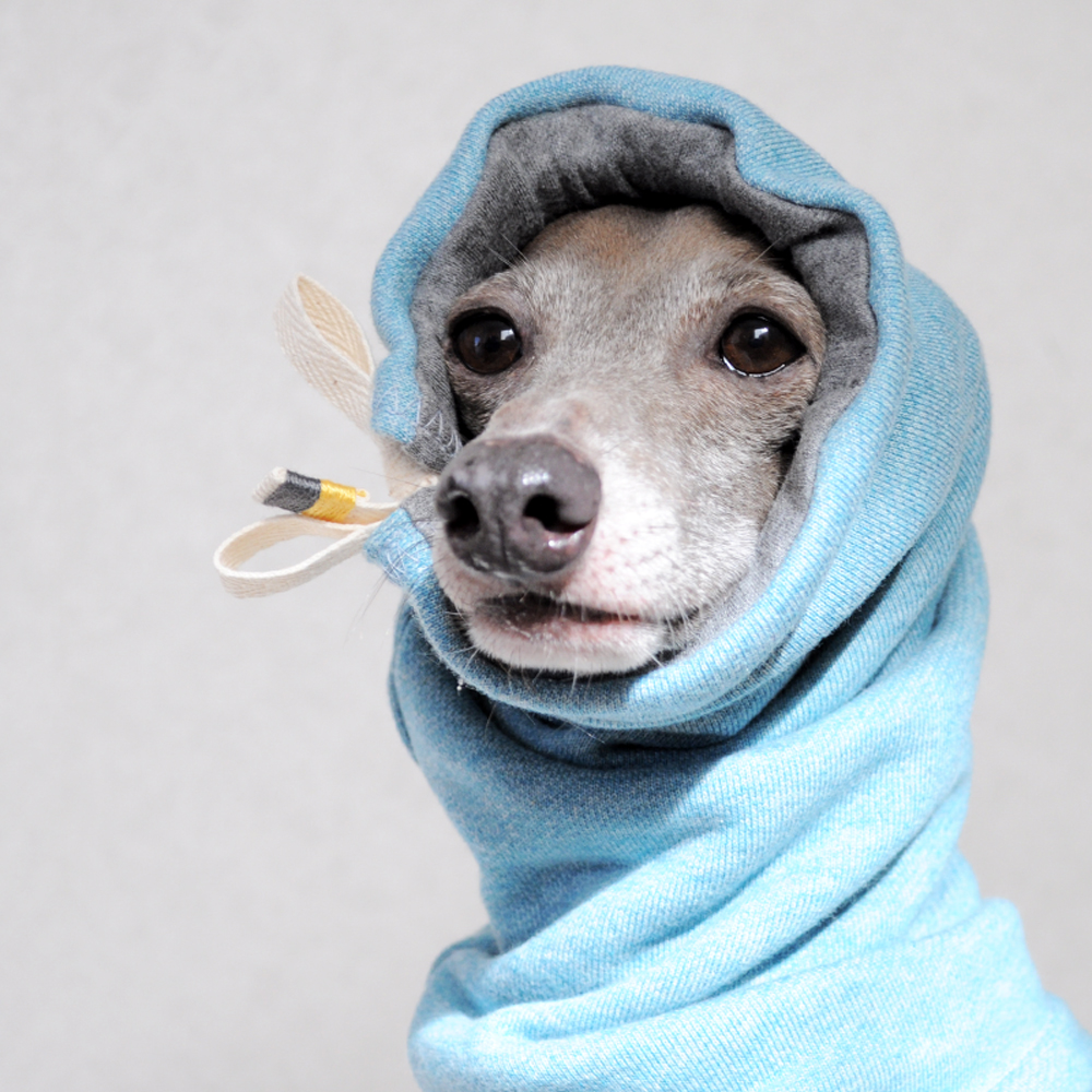 犬服|お耳ぬくぬくスヌード&ネックウォーマー|「血管炎・寒冷凝集素症・耳介辺縁血管炎」の予防にも最適|選べる10カラー(ポピーレッド/桜色/イタグレグレイ/栗色/ロイヤルブルー/杢ピンク/杢ブルー/杢ベージュ/杢レッド/杢ネイビー)