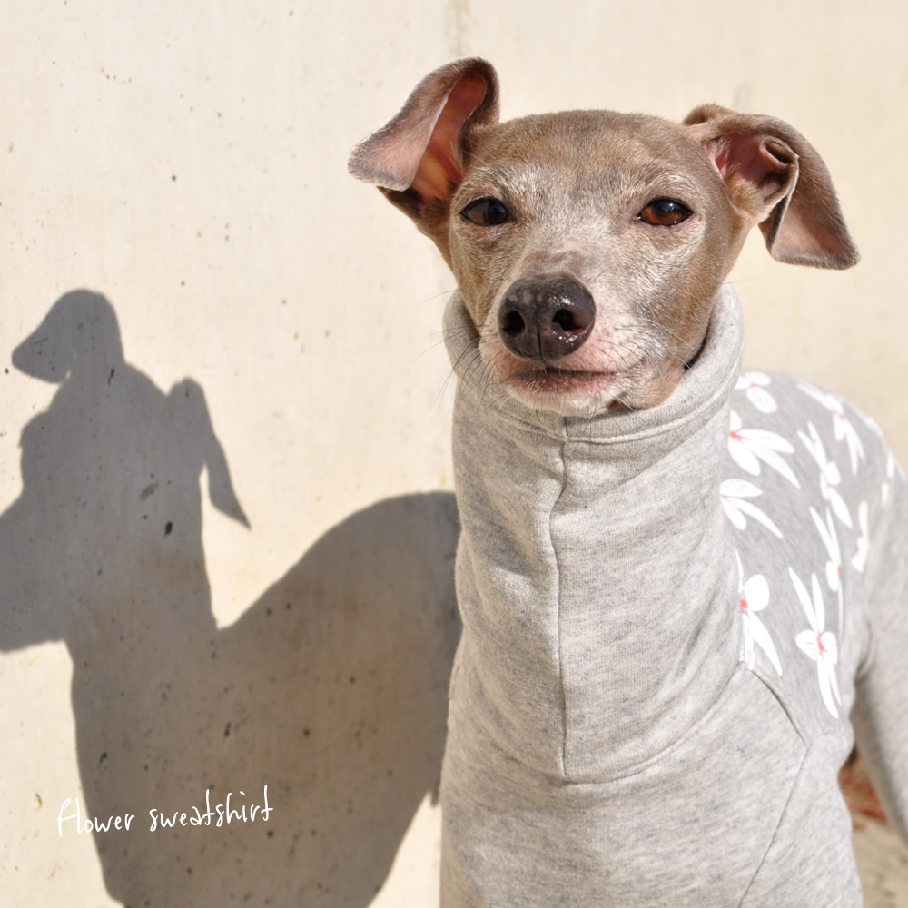 イタグレ 服|ミニピン服|ウィペット服|チャイクレ服|サルーキ服|犬服|Flower sweatshirt|トレーナー|ジャスミン裏起毛ニット|選べる4タイプ