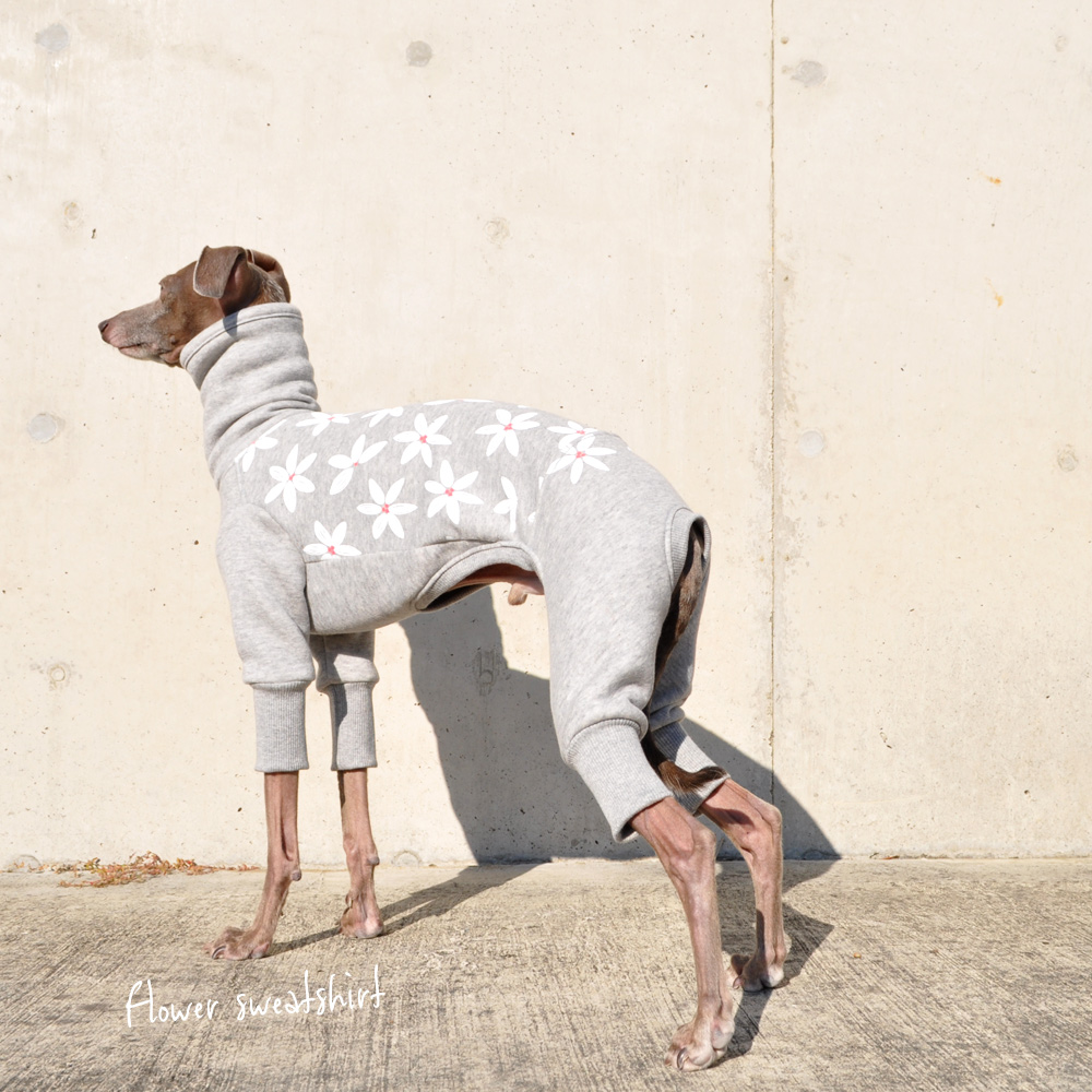 イタグレ 服|ミニピン服|ウィペット服|チャイクレ服|サルーキ服|犬服|Flower sweatshirt|トレーナー|ジャスミン裏起毛ニット|選べる4タイプ