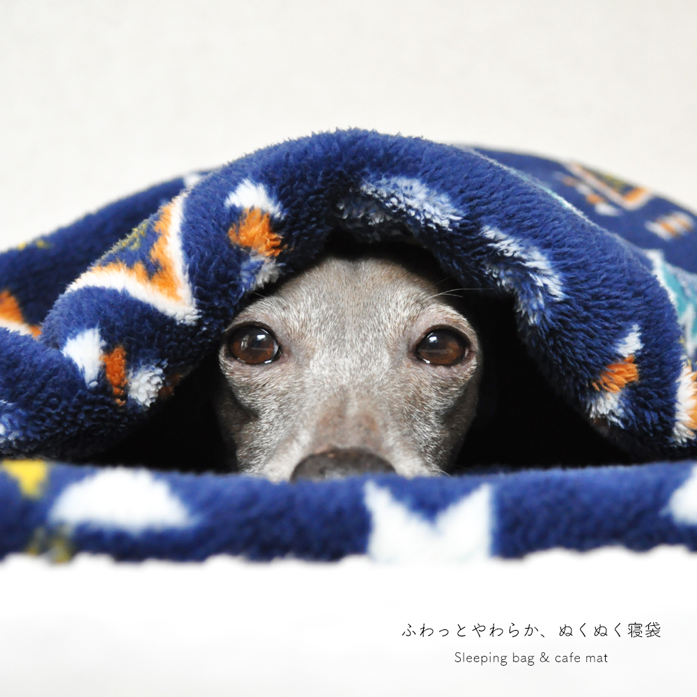 寝袋&カフェマット|ふわっとやわらか、ぬくぬく寝袋|両面起毛マイクロフランネル厚手ボア生地|キムリ風プリント|選べる2カラー