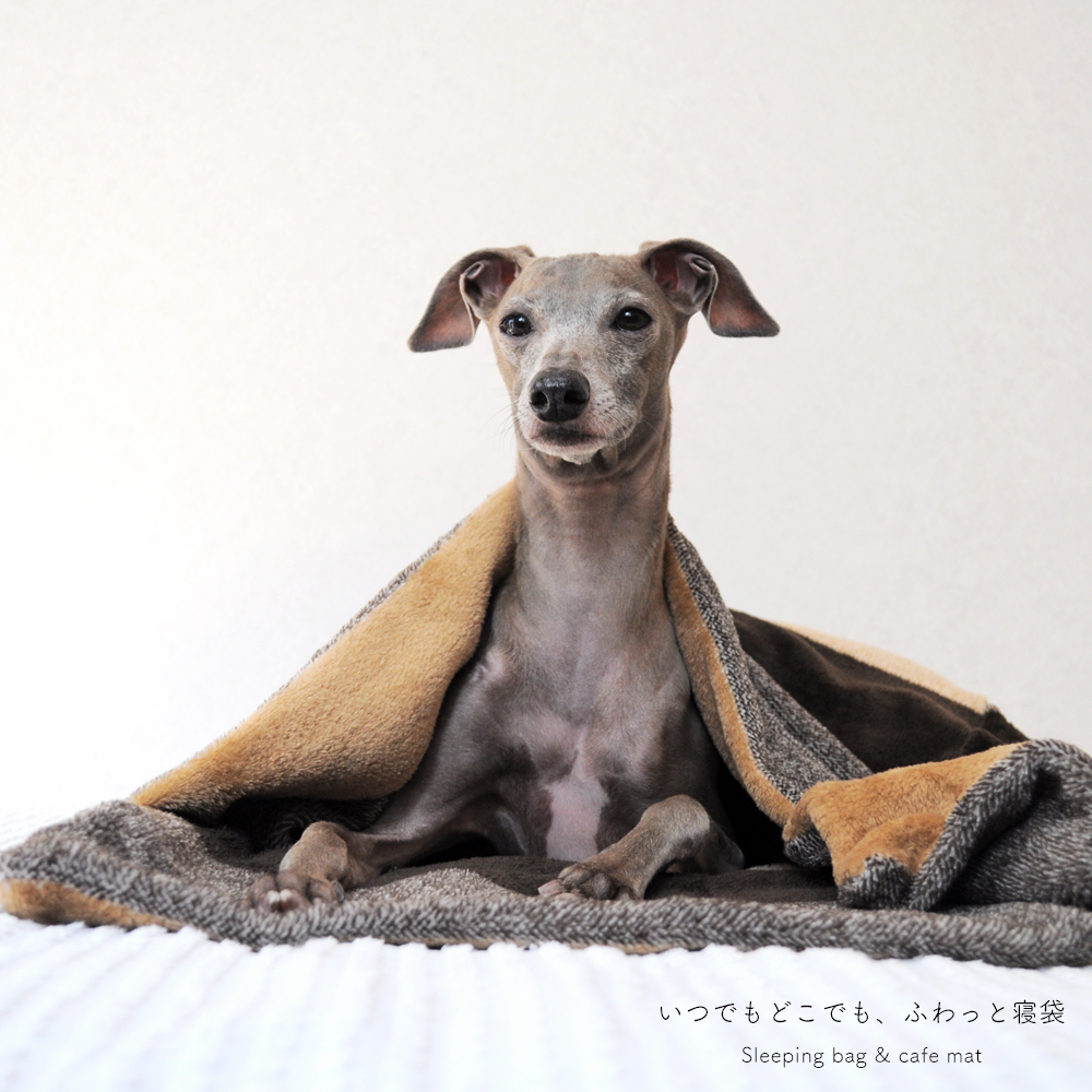 イタグレ服|ミニピン服|寝袋&カフェマット|いつでもどこでも、ふわっと寝袋「軽くて持ち運びも快適」|ワイドボーダーボア生地|選べる3カラー