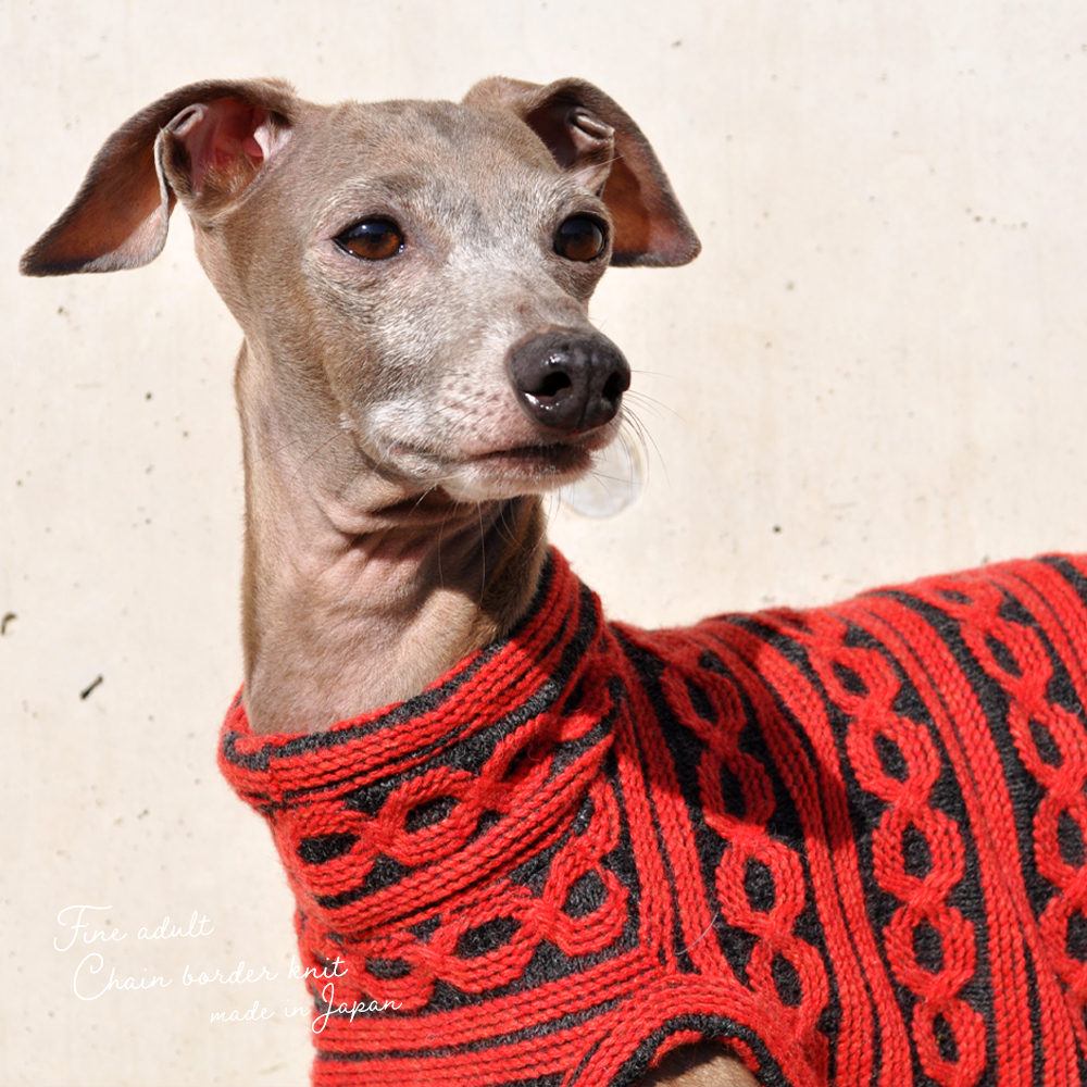 イタグレ服|ミニピン服|ウィペット服|チャイクレ服|サルーキ服|犬服|上質な大人のチェーンボーダーニット|日本製ジャガードニット|選べる3タイプ×3カラー(ハニースィート/ルージュ/モダンブラック)今年で8才になります子供ぽいお洋服から大人のお洋服へ