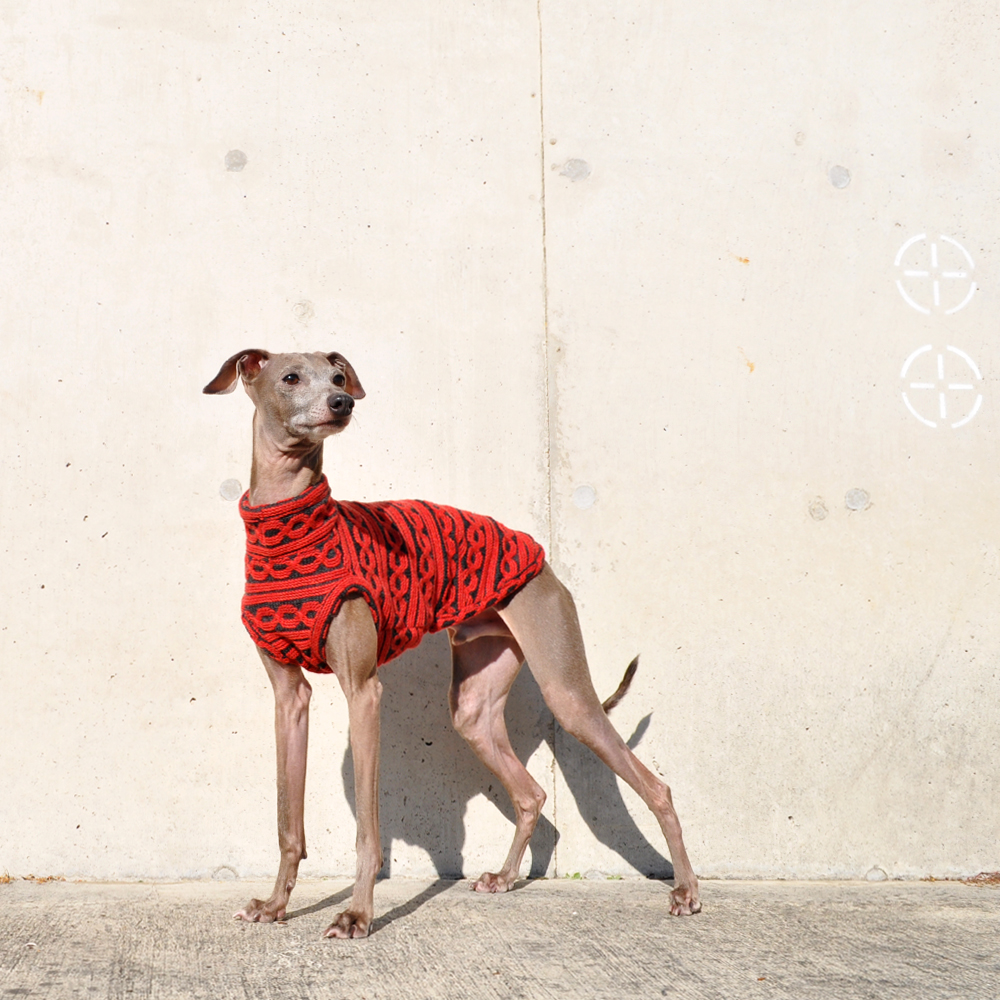 イタグレ服|ミニピン服|ウィペット服|チャイクレ服|サルーキ服|犬服|上質な大人のチェーンボーダーニット|日本製ジャガードニット|選べる3タイプ×3カラー(ハニースィート/ルージュ/モダンブラック)今年で8才になります子供ぽいお洋服から大人のお洋服へ