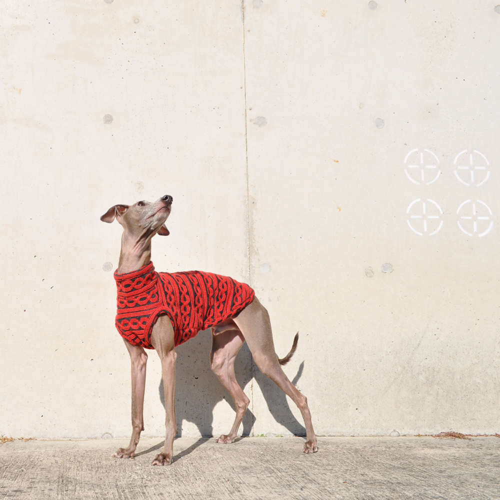 イタグレ服|ミニピン服|ウィペット服|チャイクレ服|サルーキ服|犬服|上質な大人のチェーンボーダーニット|日本製ジャガードニット|選べる3タイプ×3カラー(ハニースィート/ルージュ/モダンブラック)今年で8才になります子供ぽいお洋服から大人のお洋服へ