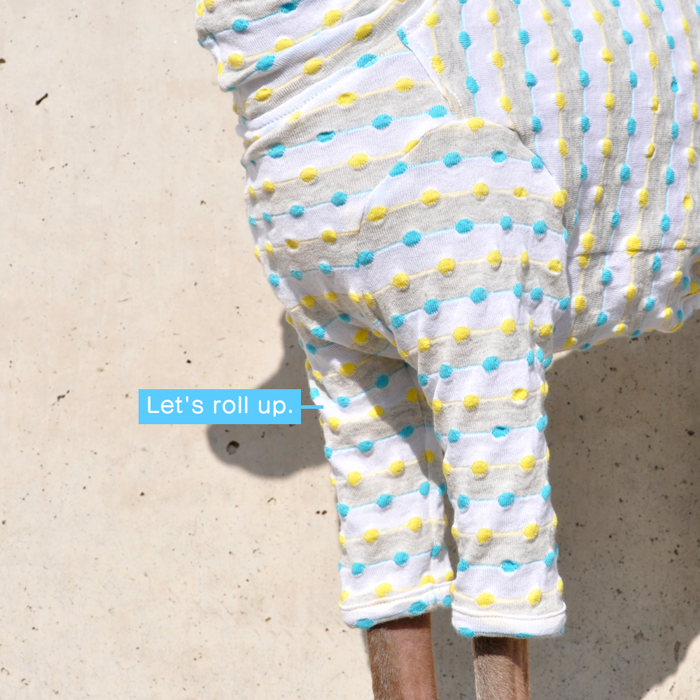 イタグレ服|ミニピン服|ウィペット服|チャイクレ服|サルーキ服|犬服|ロールアップしよう♪ポップなドット|日本製ポップドビーボーダーニット|選べる4タイプ×2カラー(イエロー&ブルー/レッド&グリーン)