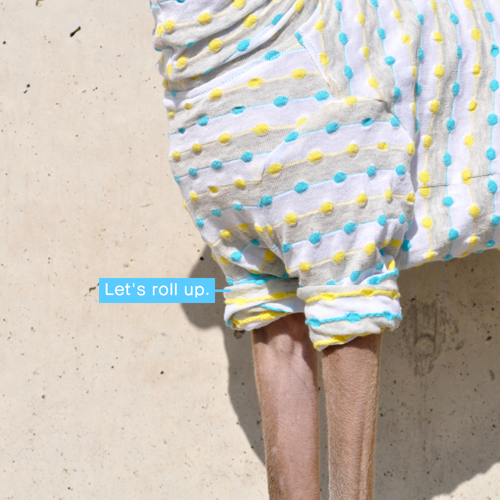 イタグレ服|ミニピン服|ウィペット服|チャイクレ服|サルーキ服|犬服|ロールアップしよう♪ポップなドット|日本製ポップドビーボーダーニット|選べる4タイプ×2カラー(イエロー&ブルー/レッド&グリーン)