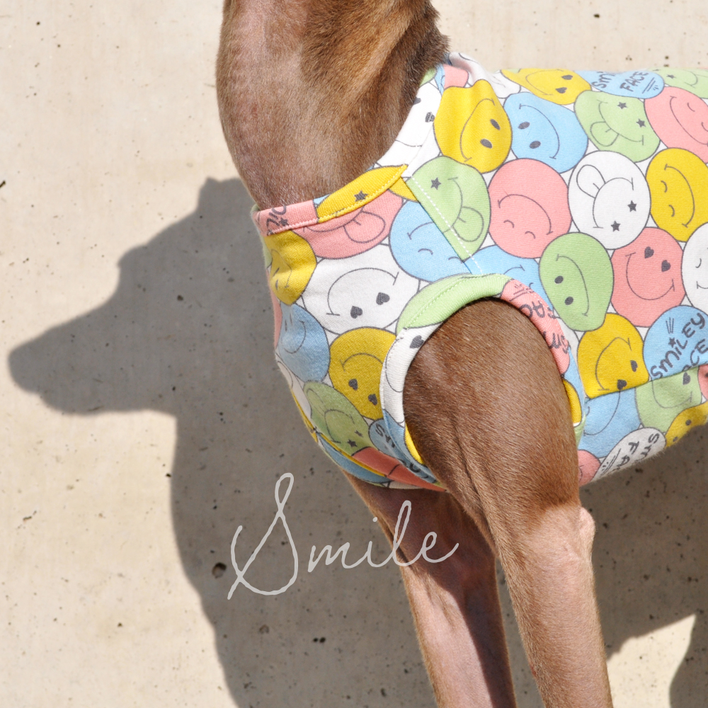 イタグレ服|ミニピン服|ウィペット服|チャイクレ服|サルーキ服|犬服|にこちゃん|スムースニット|選べる4タイプ