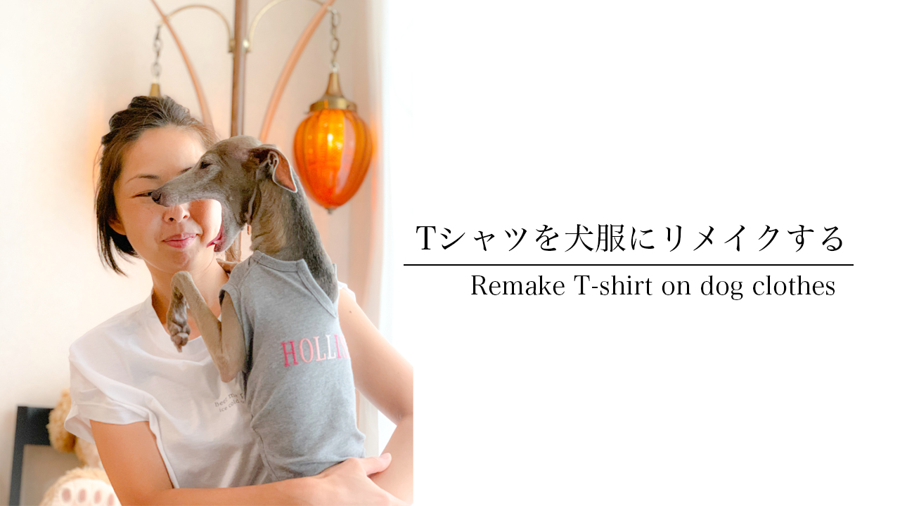 2時間で私のtシャツを犬服にリメイクします Arata House