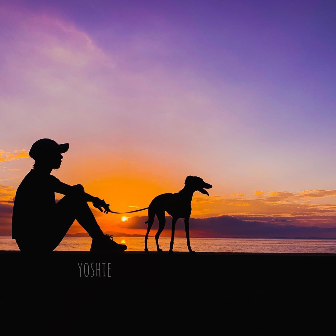 じーとする時間に価値