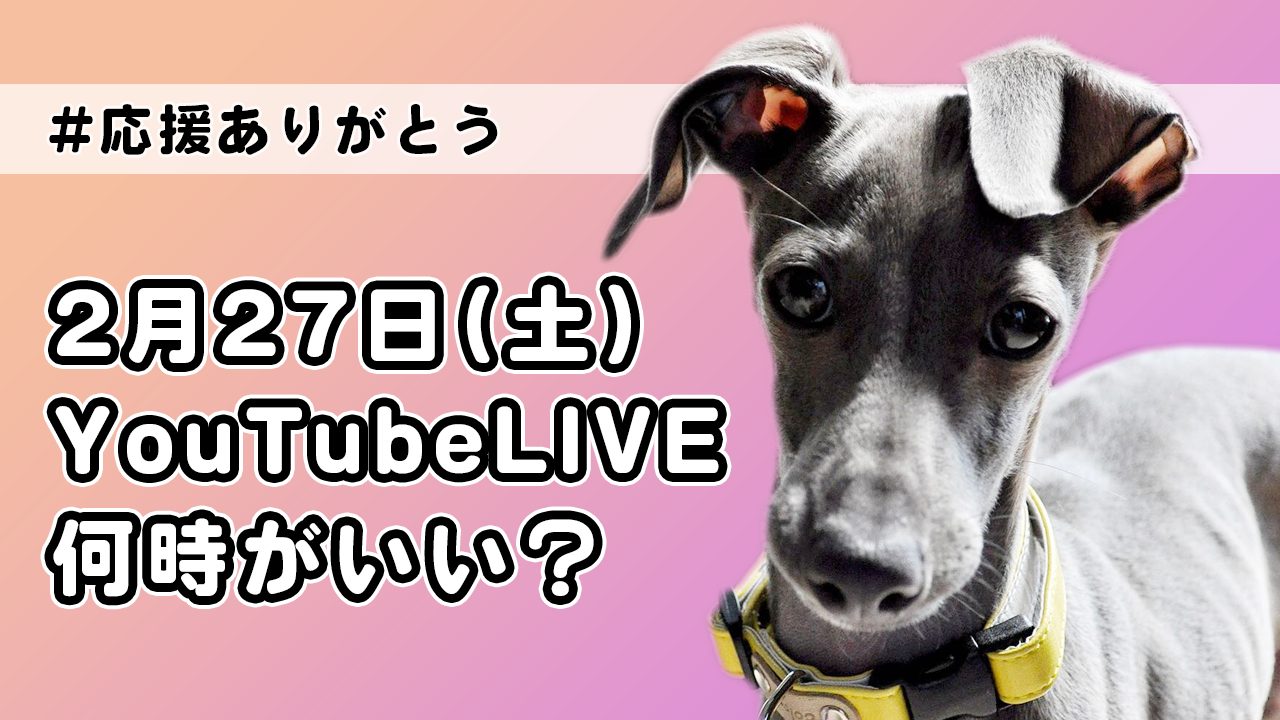 #応援ありがとう|一緒にライブ配信で機材を開封しましょう|2月27日(土)何時からがいいですか?